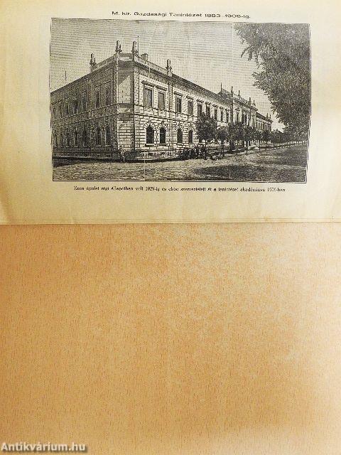 Vidám történetek a keszthelyi praxik életéből