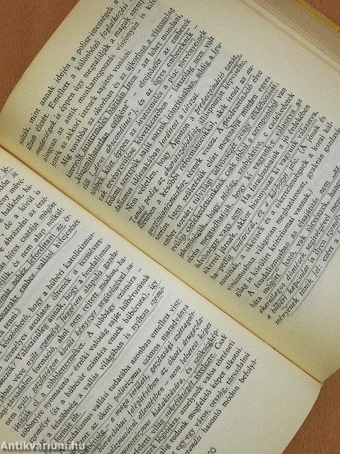 Igent mondani az emberre