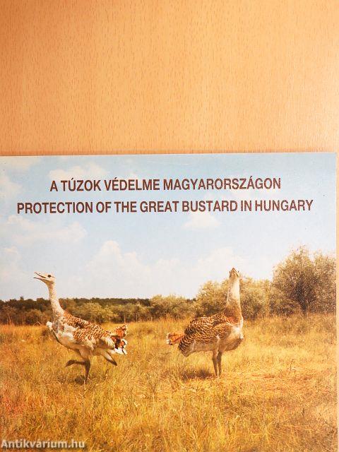 A túzok védelme Magyarországon