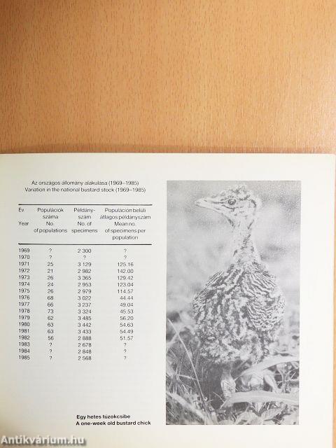 A túzok védelme Magyarországon