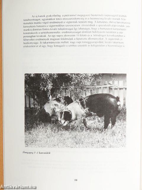 Hungapig Tenyésztési Évkönyv 1993.
