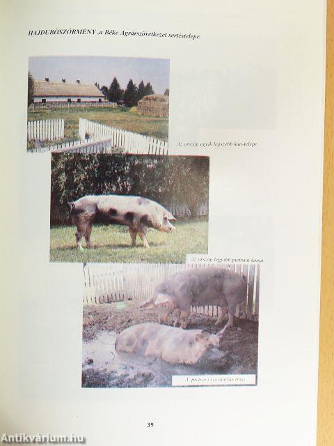 Hungapig Tenyésztési Évkönyv 1993.