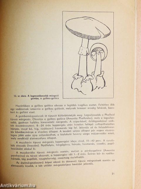 Vadászattal-vadgazdálkodással kapcsolatos egészségkárosodások