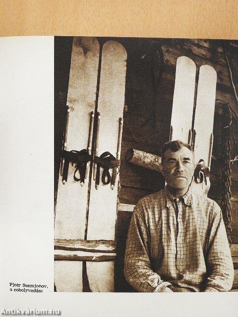 Akik az eget ostromolják