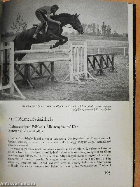 Lovasélet Magyarországon