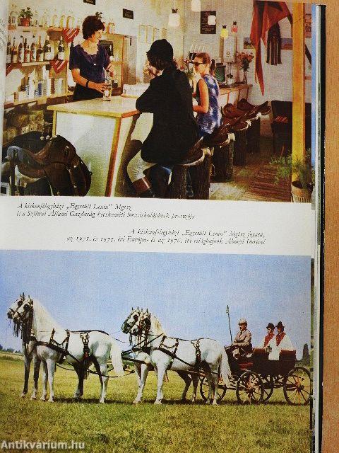 Lovasélet Magyarországon