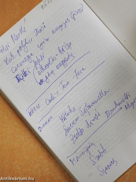 Nemzetközi üzletpolitika