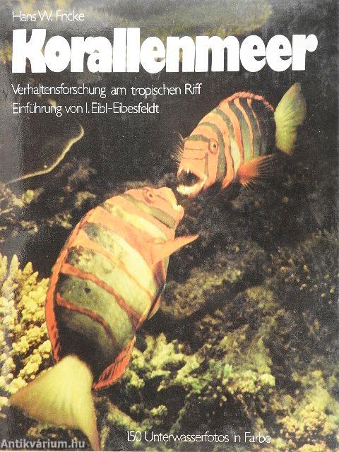 Korallenmeer