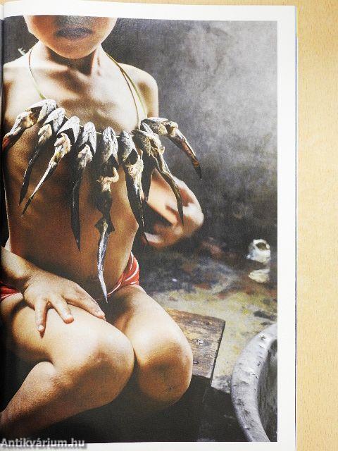 National Geographic Magyarország 2016. január-december