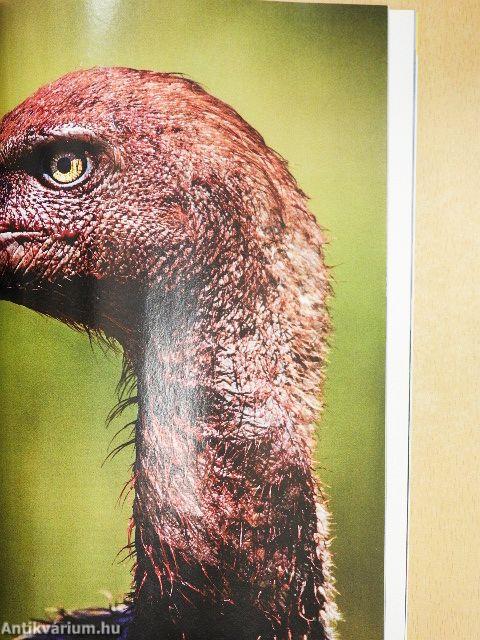 National Geographic Magyarország 2016. január-december