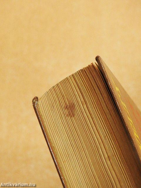 A számkivetett indián leányzó