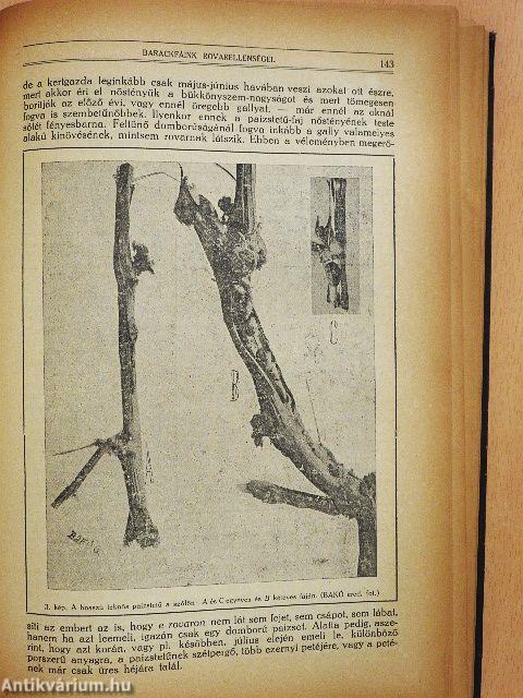 Természettudományi Közlöny 1924. január-december/Pótfüzetek a Természettudományi Közlönyhöz 1923. január-december