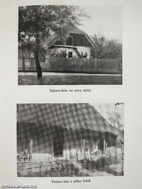 Ormányság