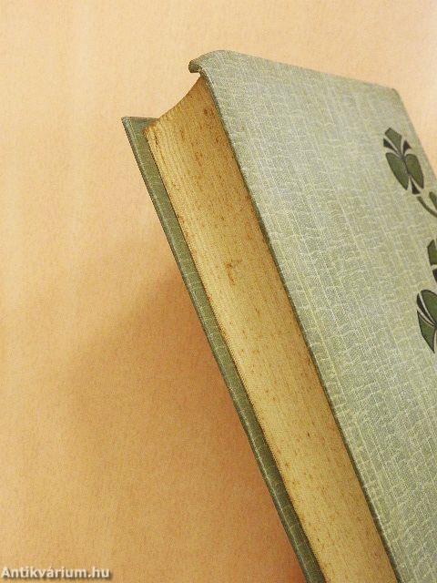 A bujtogatók/Téli rege