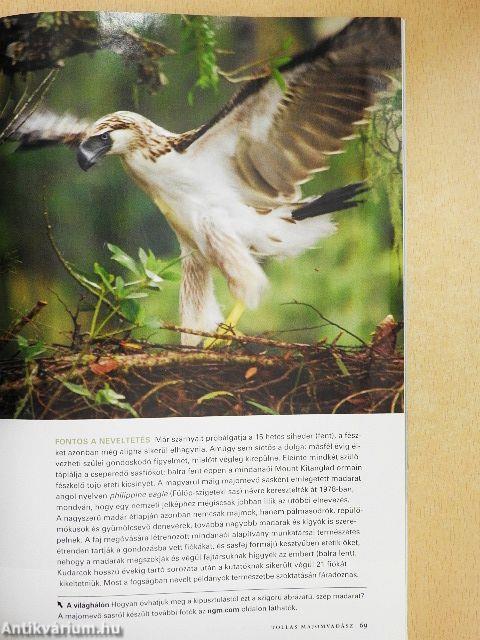 National Geographic Magyarország 2008. (nem teljes évfolyam)