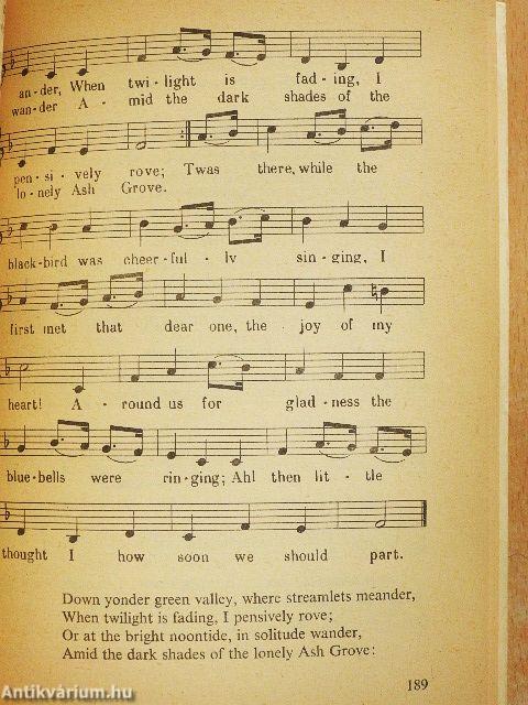 Angol nyelvkönyv IV.