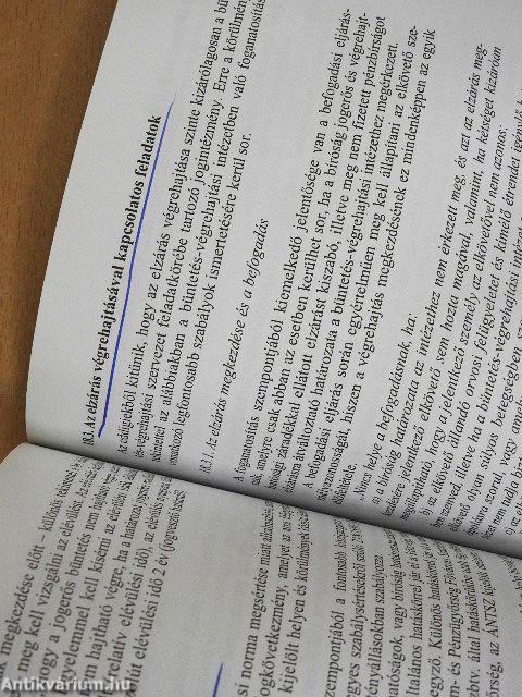 Büntetés-végrehajtási jog