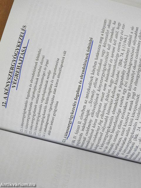 Büntetés-végrehajtási jog