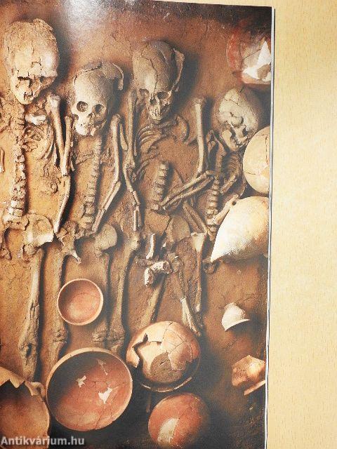 National Geographic Magyarország 2010. január-december