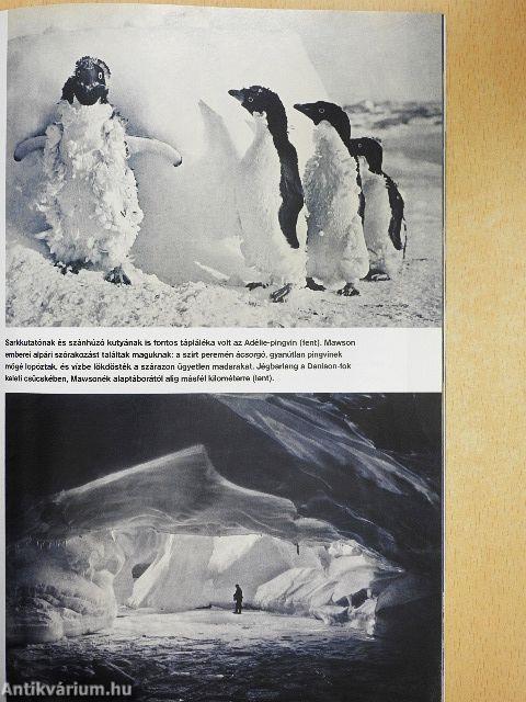 National Geographic Magyarország 2013. (nem teljes évfolyam)