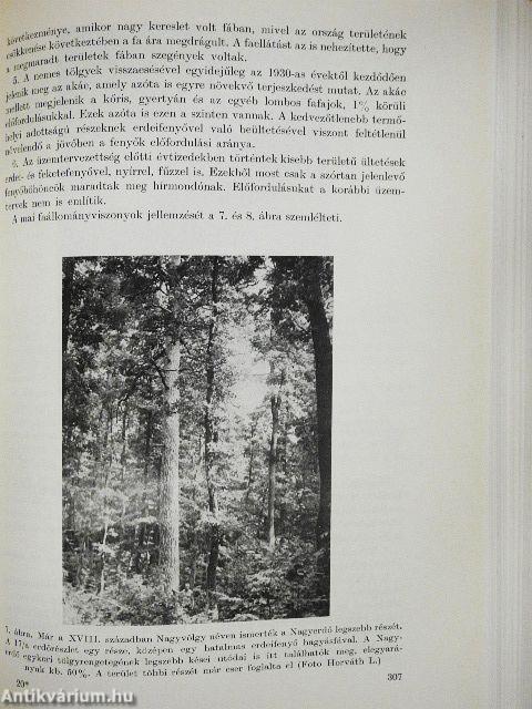 Az erdőgazdálkodás története Magyarországon