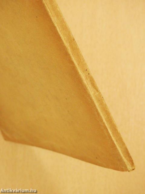 Délibáb (dedikált példány)