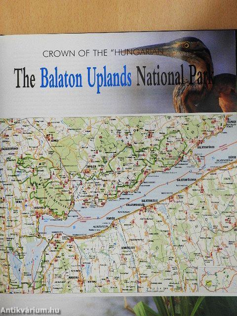 Conserving Hungary's Heritage