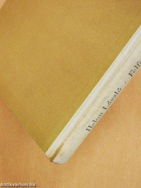 Felfedeztem Amerikát