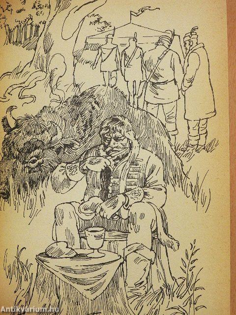 Tomori, büszke vezér