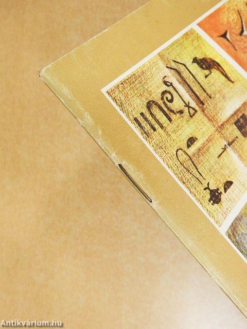 Hogyan születtek a számok?