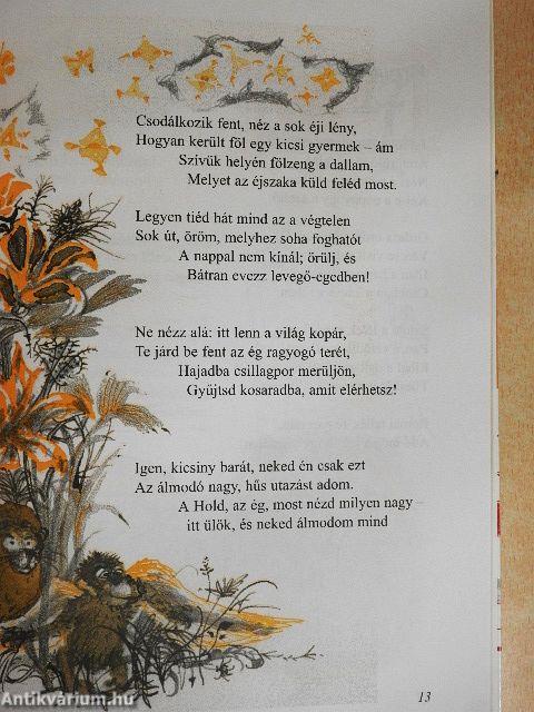 Mi kerül a vászonra?