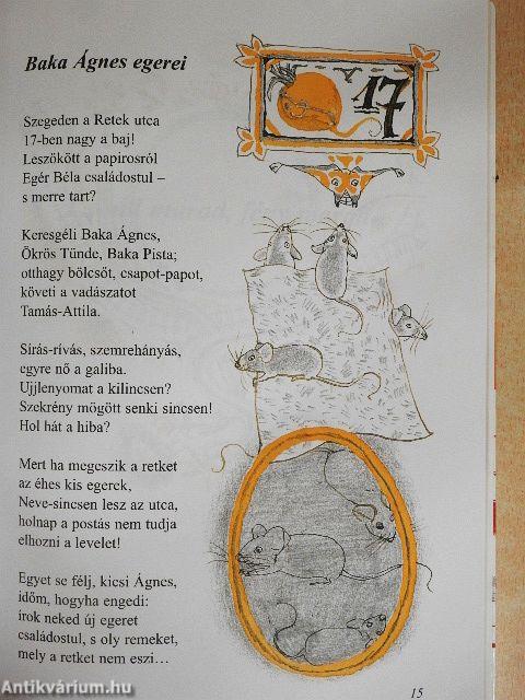 Mi kerül a vászonra?