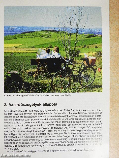 Erdőszegélyek létesítése és ápolása