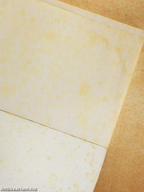 Paleolit napról-napra