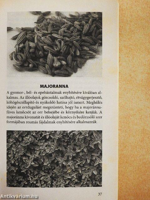 Paleolit napról-napra