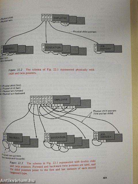 Computer Data-Base Organization
