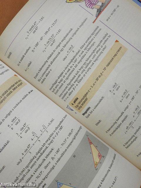 Sokszínű matematika 11.