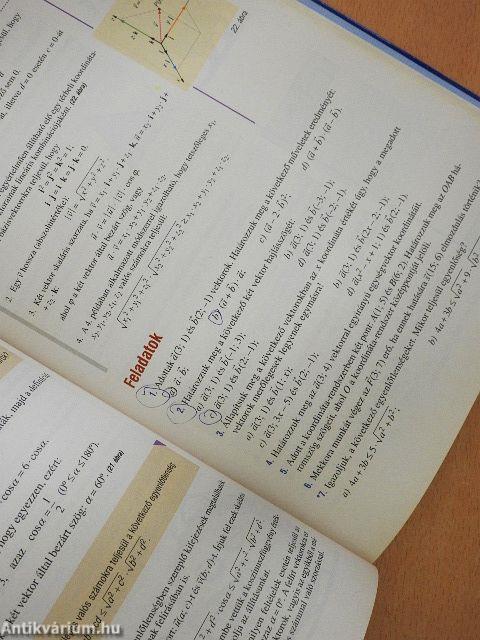 Sokszínű matematika 11.