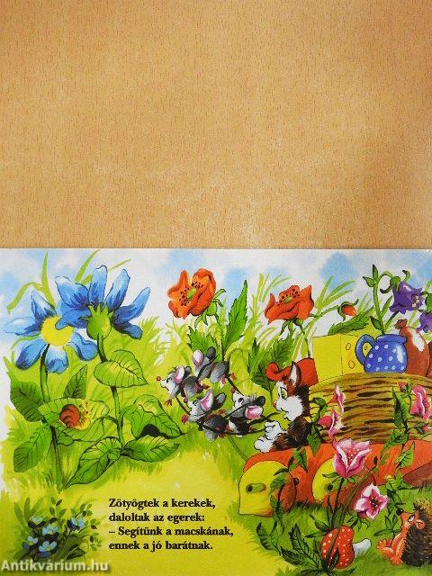 A pórul járt macska