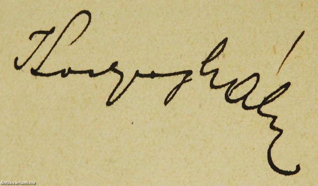 Expresszionizmus (dedikált példány)