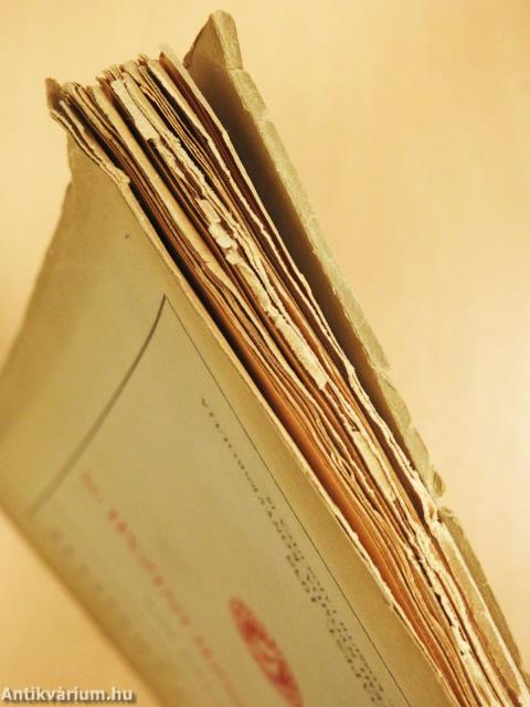 Expresszionizmus (dedikált példány)