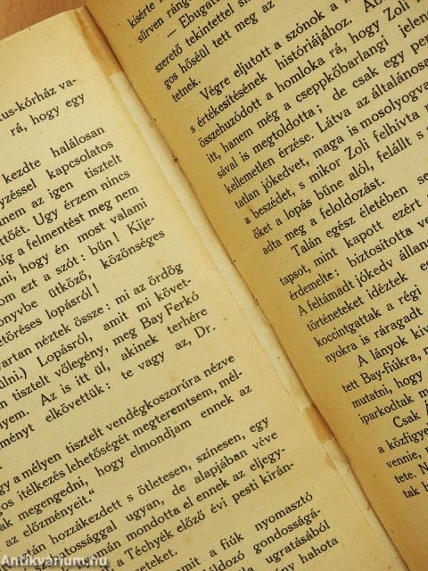 Ábel (dedikált példány)