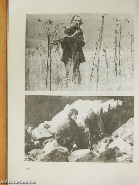 Gaál István (dedikált példány)