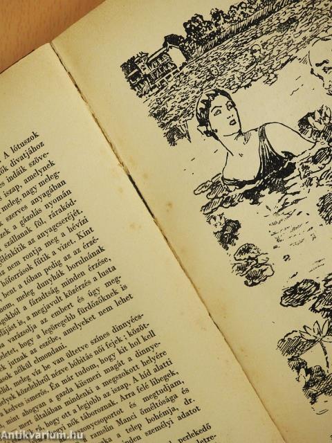 Pihenő I. (dedikált példány)