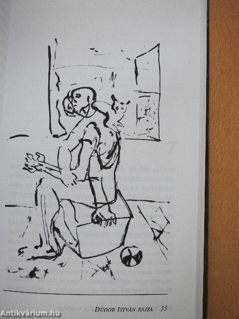 Röpirat a nemzetnevelés ügyében