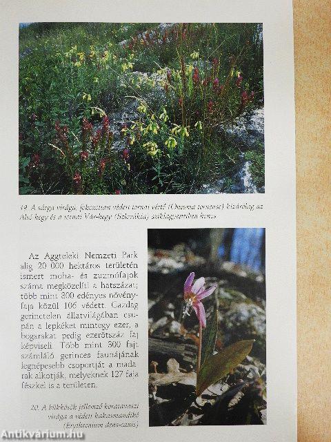 Az aggteleki-karszt barlangjai