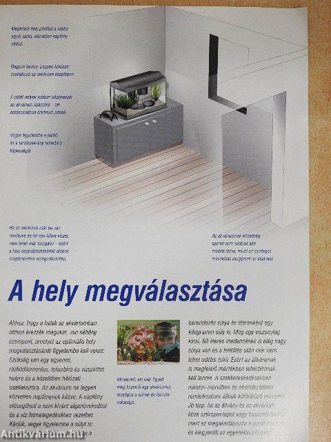 Az akvarisztika bűvölete