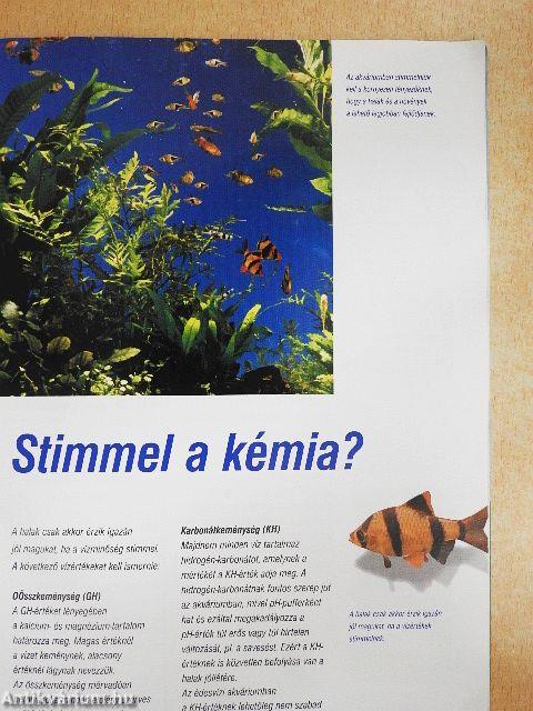 Az akvarisztika bűvölete