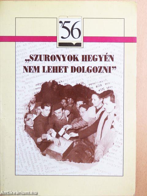 "Szuronyok hegyén nem lehet dolgozni!"