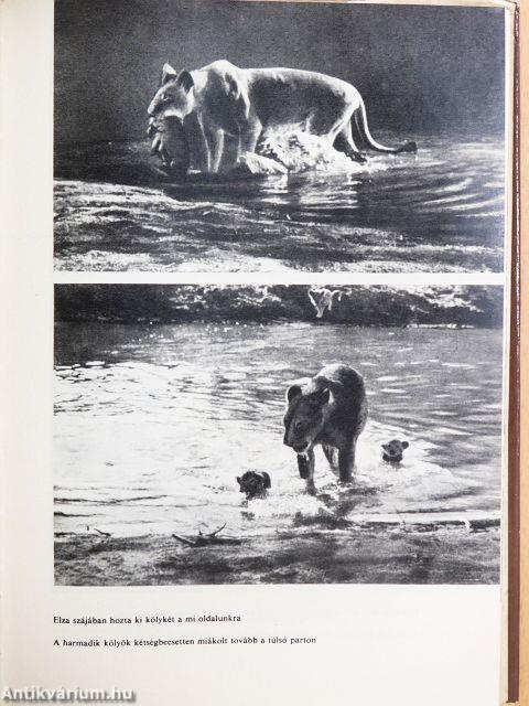 Elza és kölykei